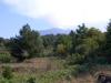 Photo of rustic with land For sale in BIANCAVILLA, SICILY, CATANIA, Italy